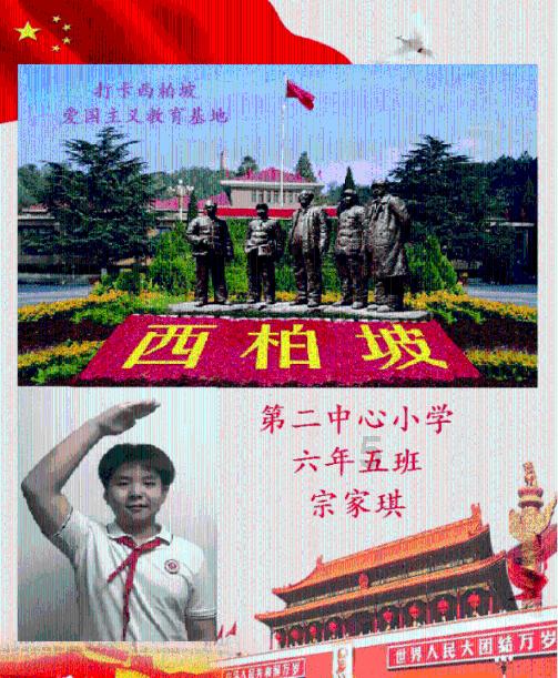 冷知识分享平台-作为一个新来的销售人员,怎么才能快速成长起来,带你领略无限趣味世界